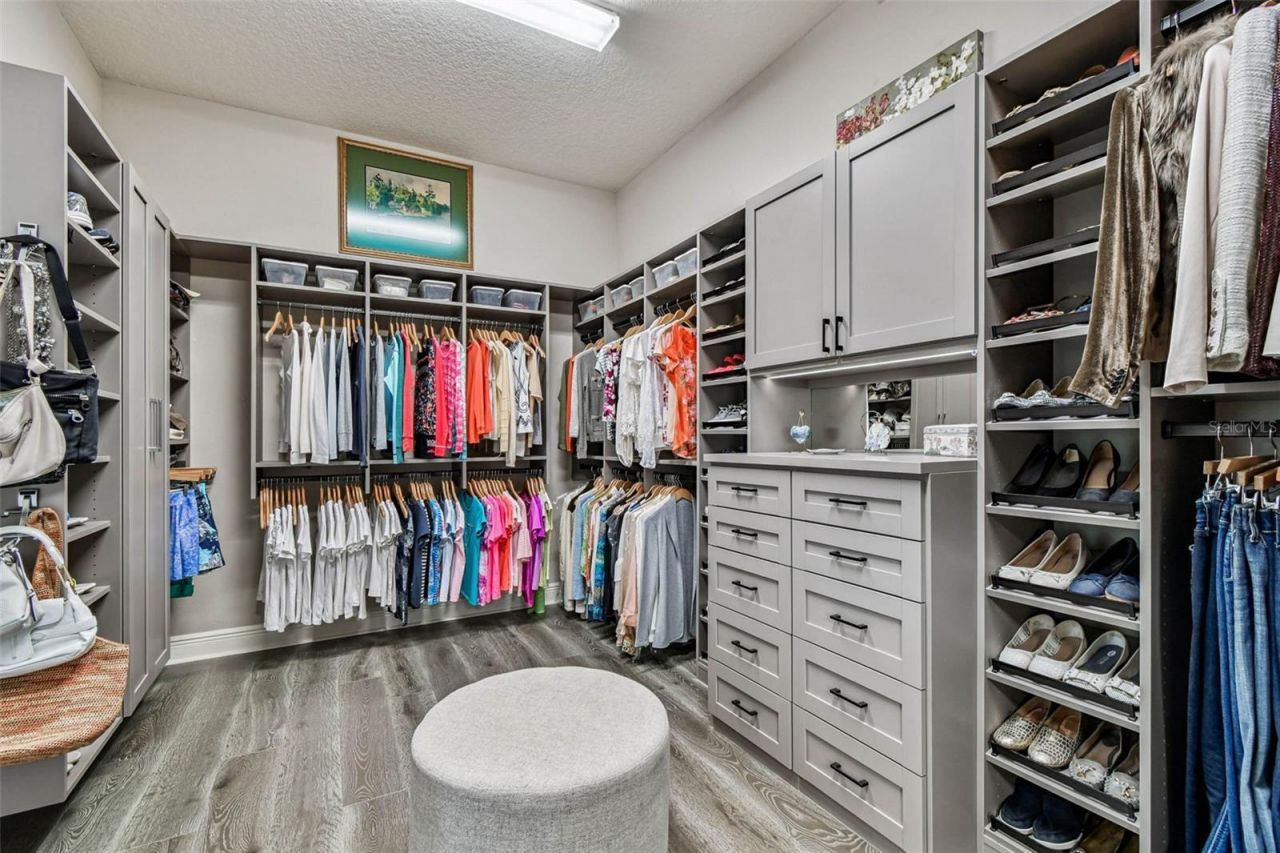 1446 Via Verdi Drive, Palm Harbor, FL 34683 Photo