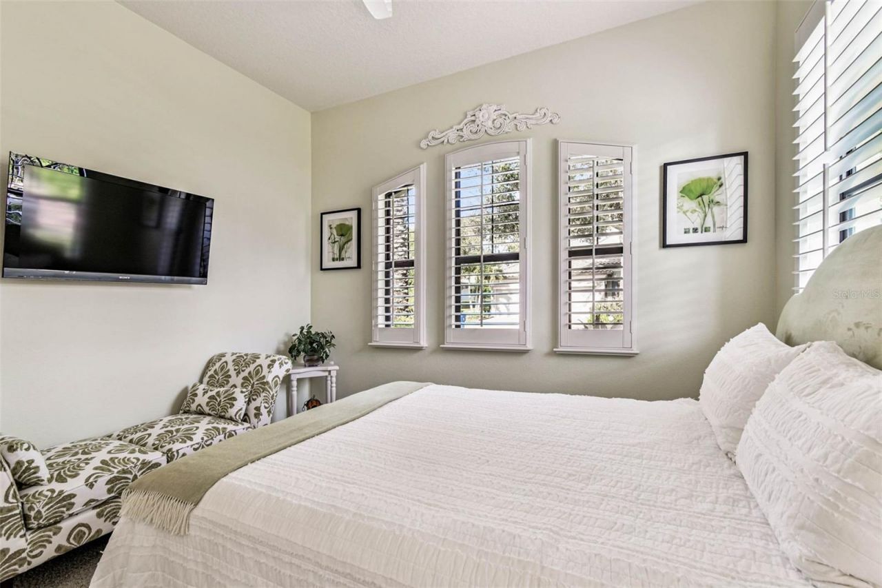 1446 Via Verdi Drive, Palm Harbor, FL 34683 Photo