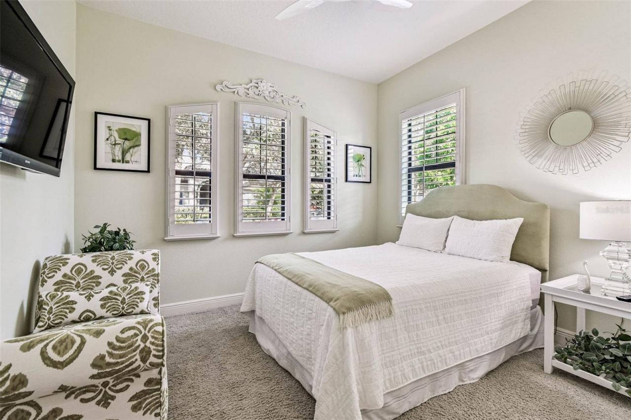 1446 Via Verdi Drive, Palm Harbor, FL 34683 Photo