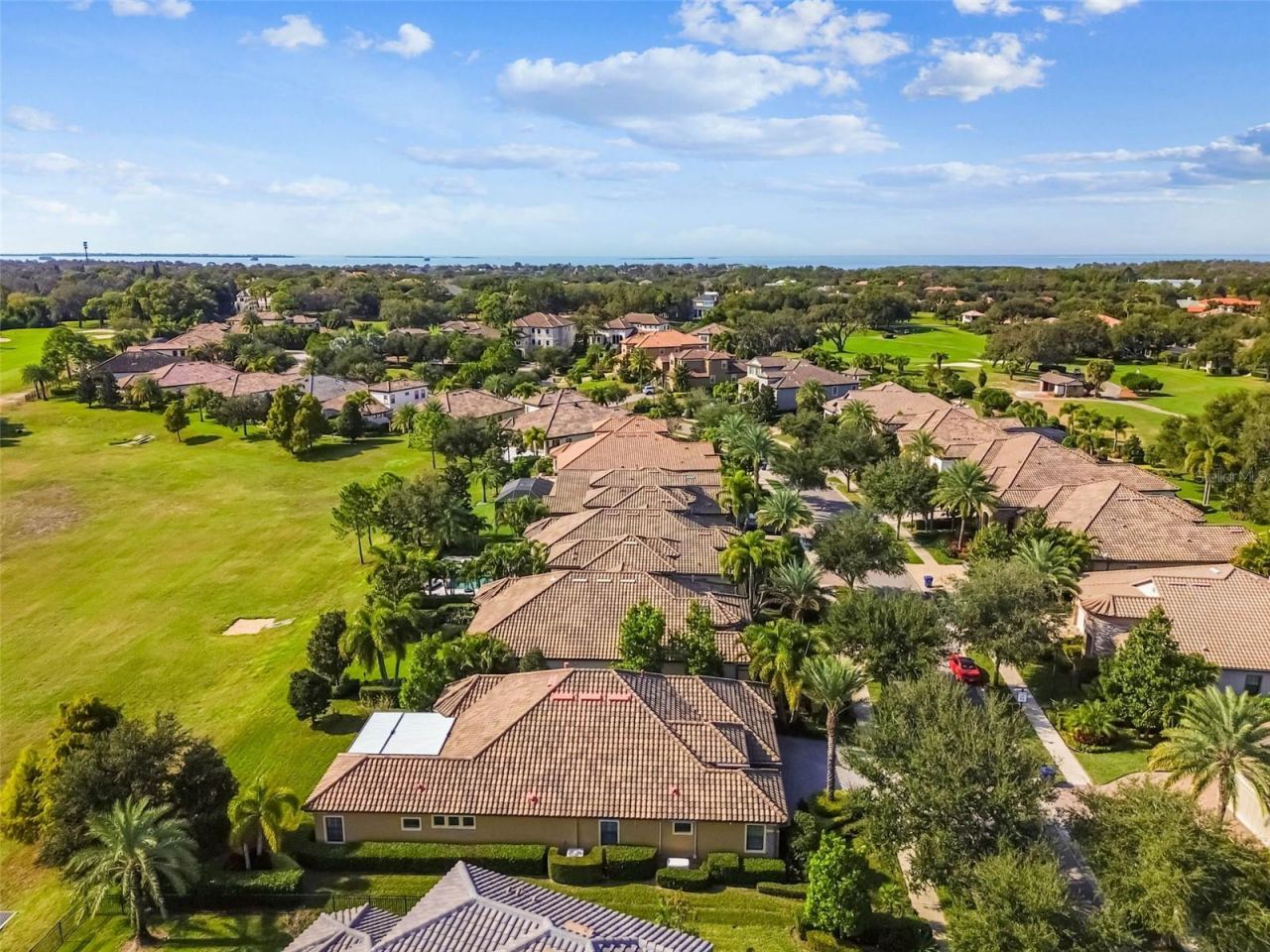 1446 Via Verdi Drive, Palm Harbor, FL 34683 Photo