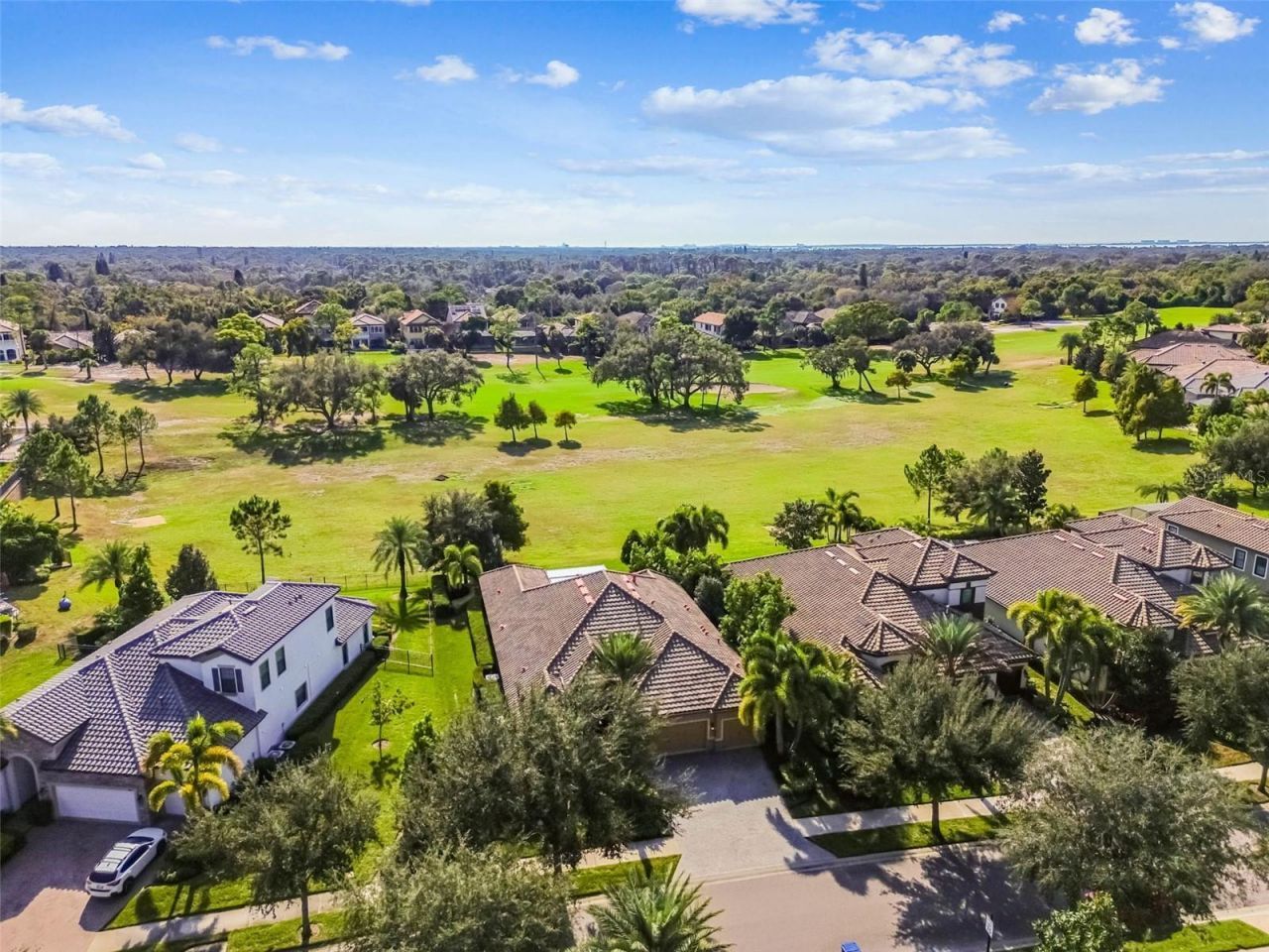 1446 Via Verdi Drive, Palm Harbor, FL 34683 Photo