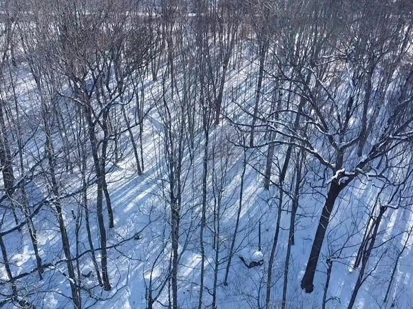 154 US-2, Winn, ME 04451