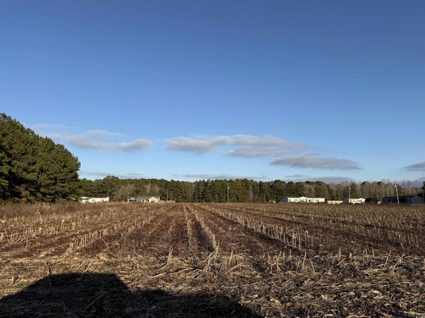 TBD Thomas Dr., Kingstree, SC 29556