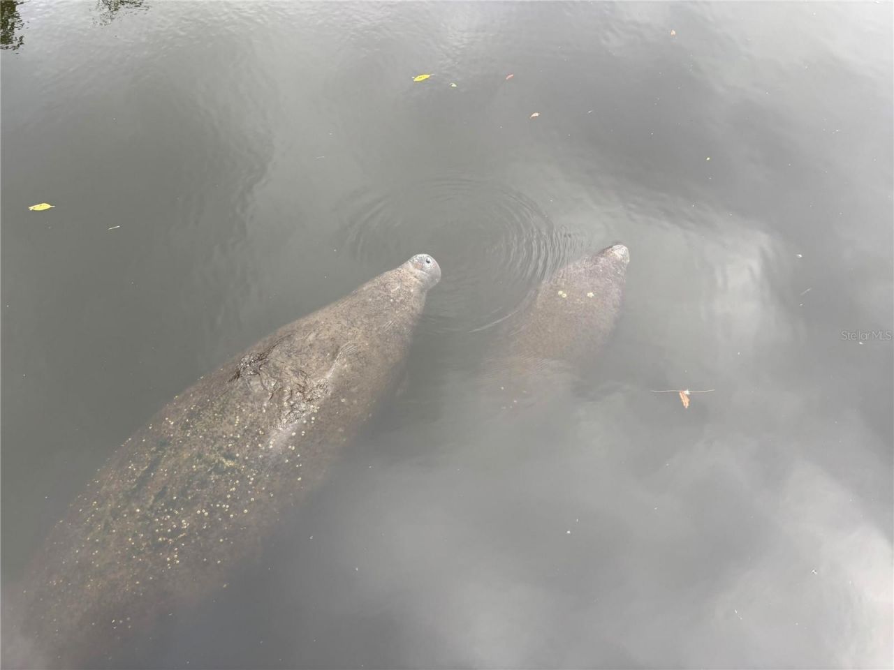 805 30th Court E, Bradenton, FL 34208 Photo