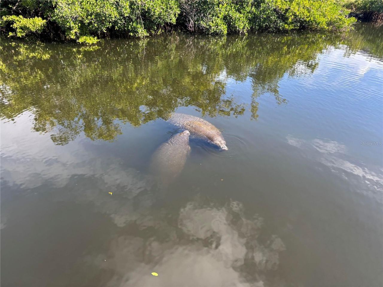 805 30th Court E, Bradenton, FL 34208 Photo