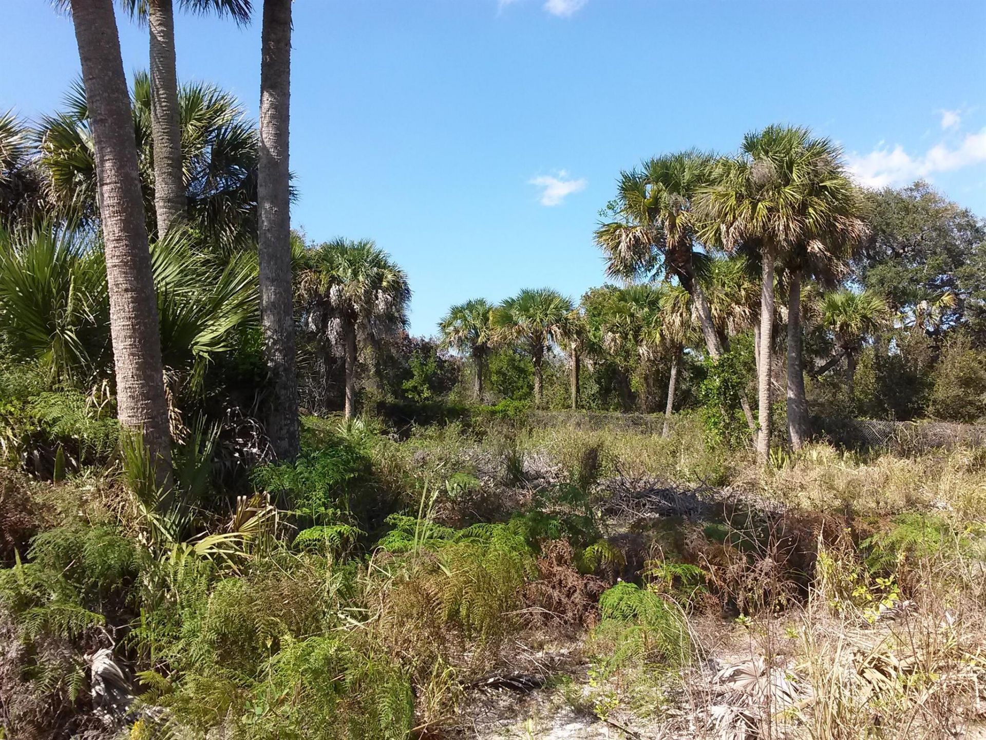 10609 S Indian River S Drive, Fort Pierce, FL 34982 Photo