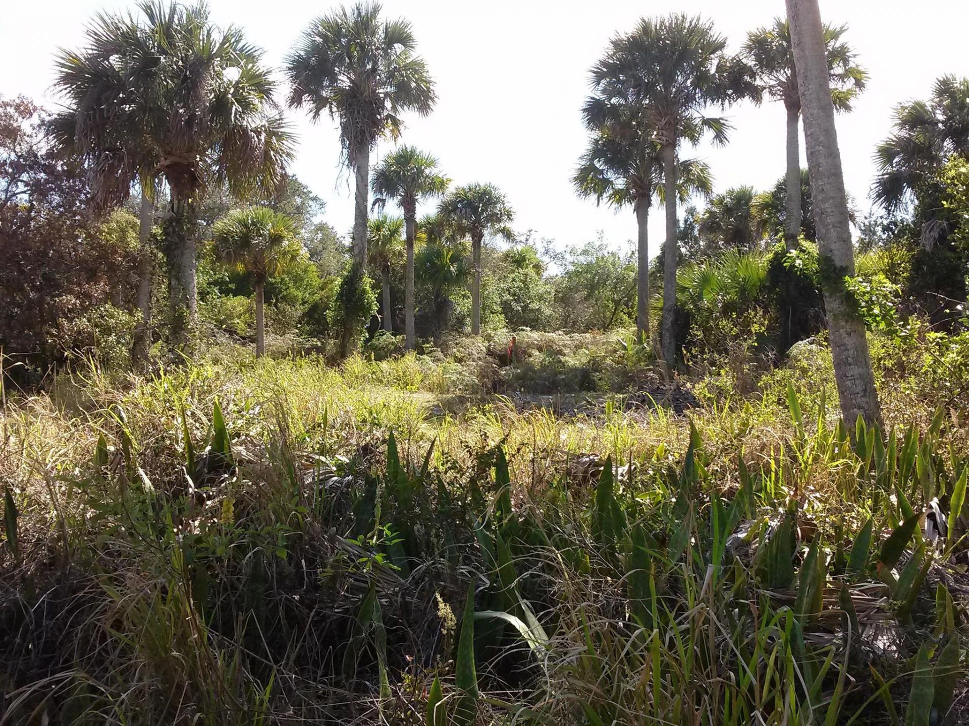 10609 S Indian River S Drive, Fort Pierce, FL 34982 Photo