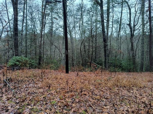 Lot 39 Kells Ridge Drive, East Ellijay, GA 30540