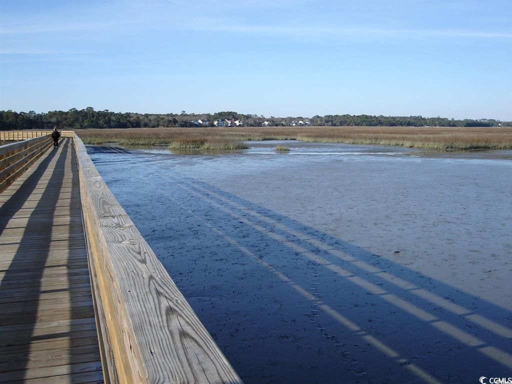 203 Buckwood Dr Photo 27