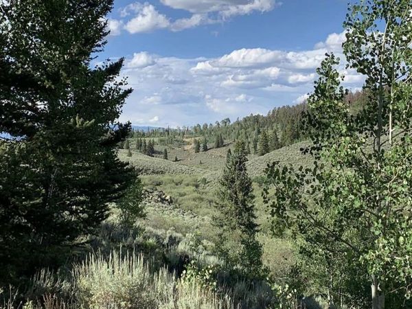 307 Blue Mesa Drive, Powderhorn, CO 81243