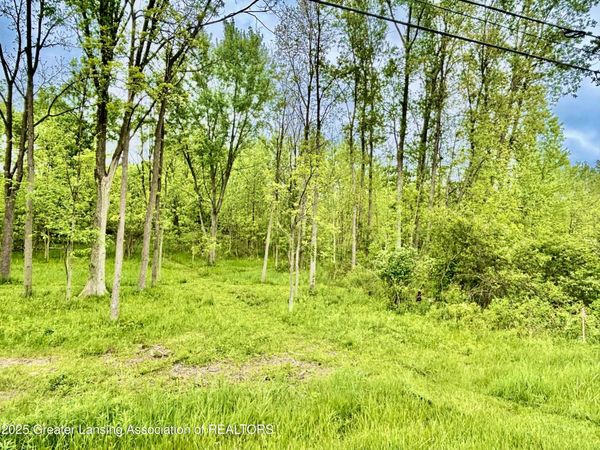 0 Lot C Willow , Lansing, MI 48917