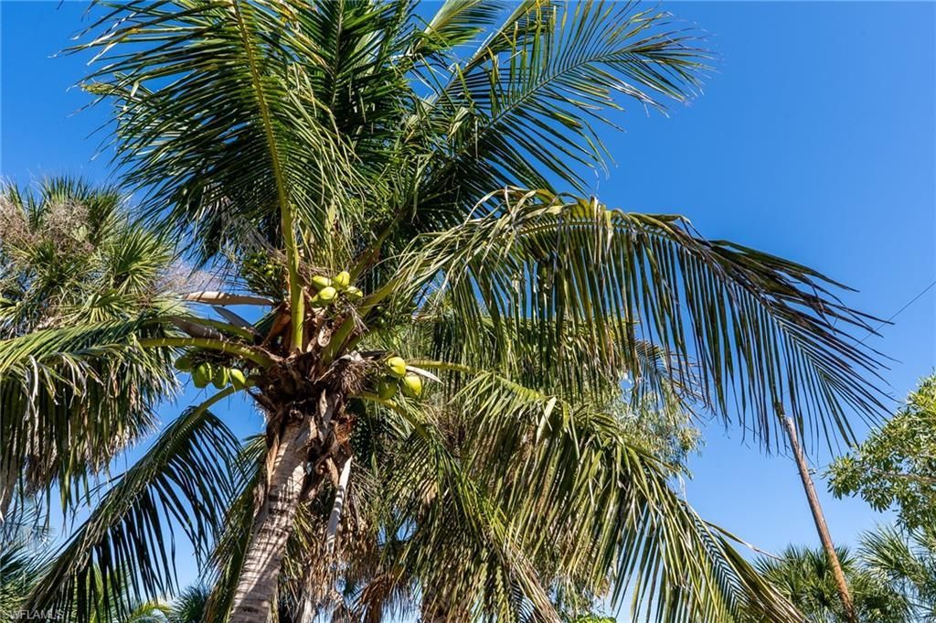 5801 Sanibel Captiva Rd, Sanibel, FL 33957 Photo