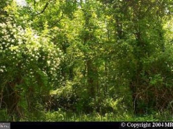 CLINTON DRIVE, ACCOKEEK, MD 20607