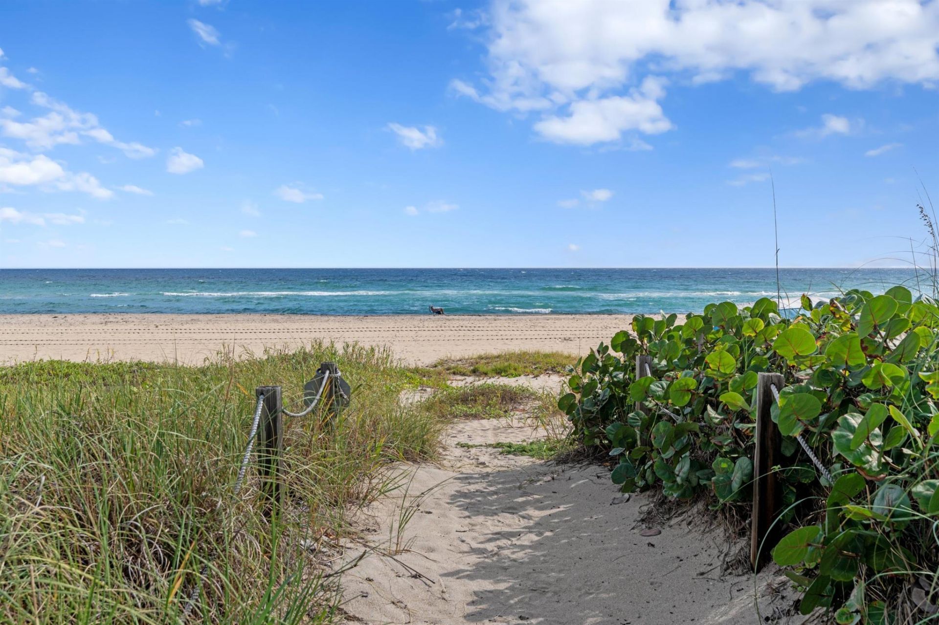 2580 S Ocean Boulevard, Unit 2c5, Palm Beach, FL 33480 Photo