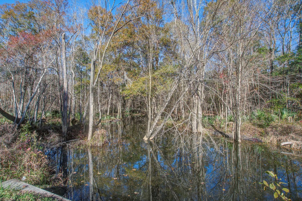 334 Shoptaw Road Photo 50