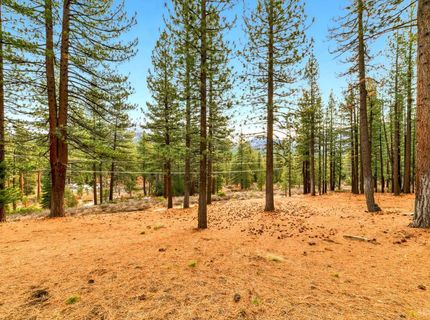 1791 Hekpa Drive, South Lake Tahoe, CA 96150 Photo