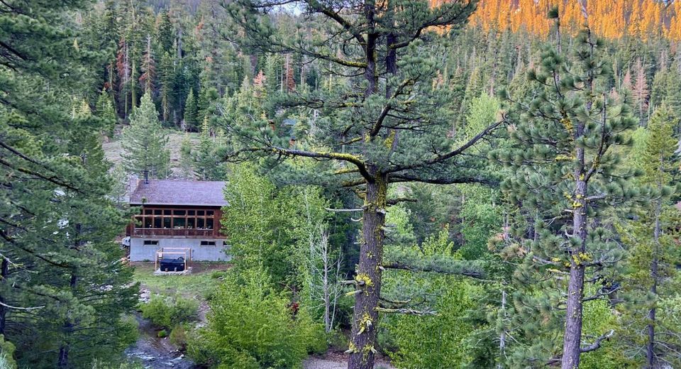 1456 Mineral Springs Trail, Alpine Meadows, CA 96146 Photo