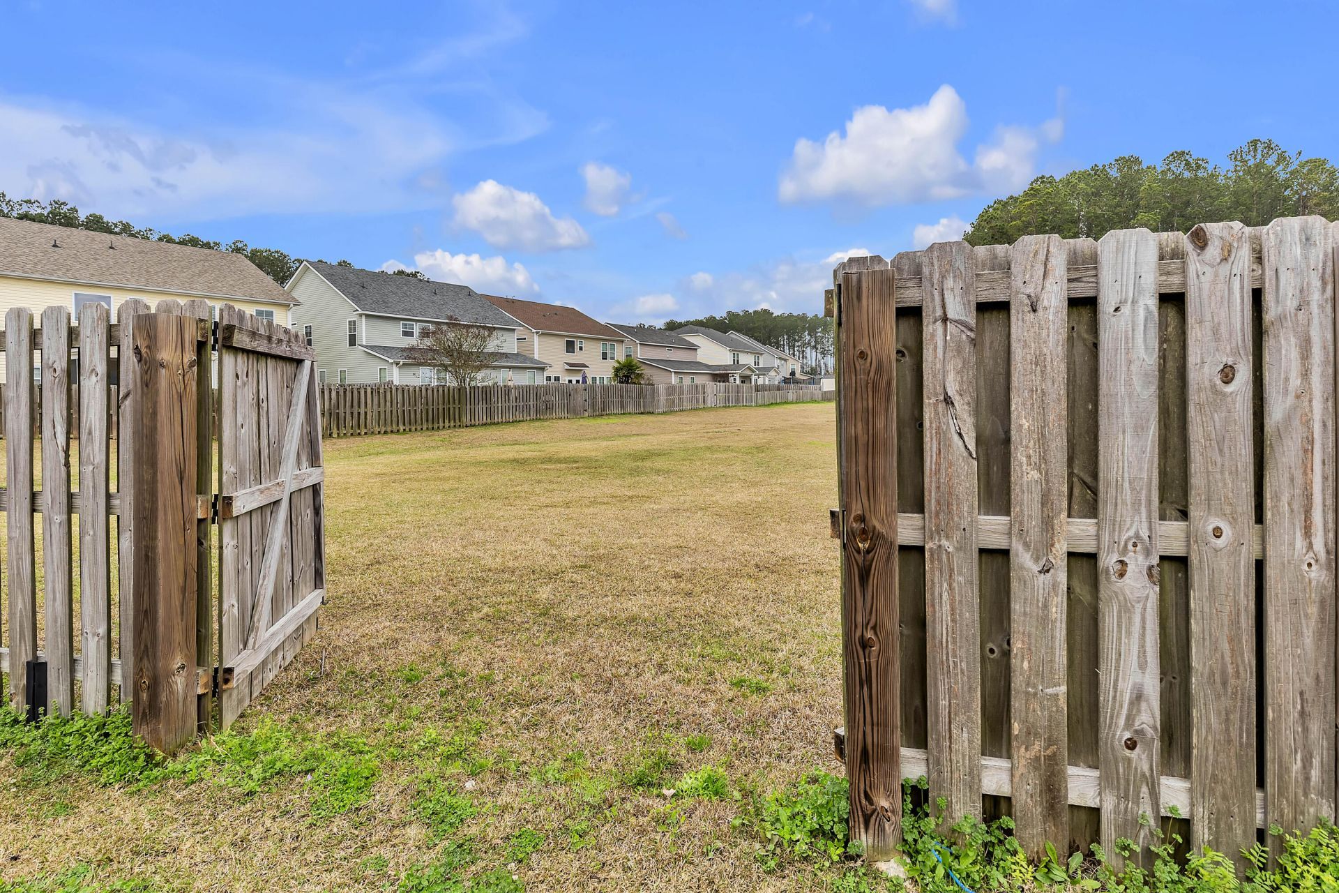 394 Sanctuary Park Drive Photo 53