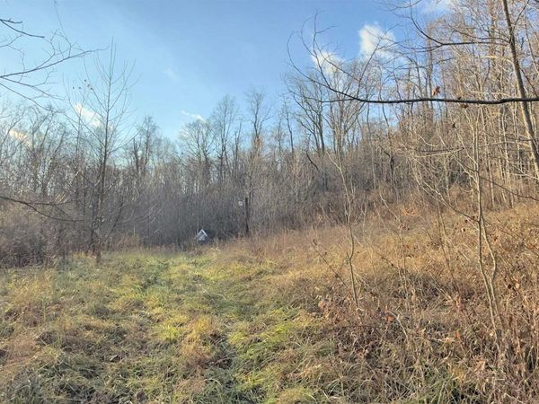 381 WEST HILL Road, Grafton, WV 26354