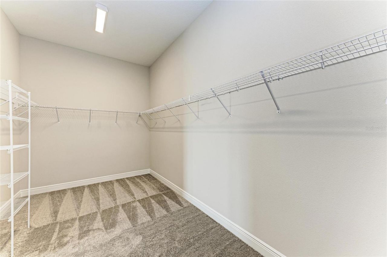 35564 Big Hawk Drive, Zephyrhills, FL 33541 Photo