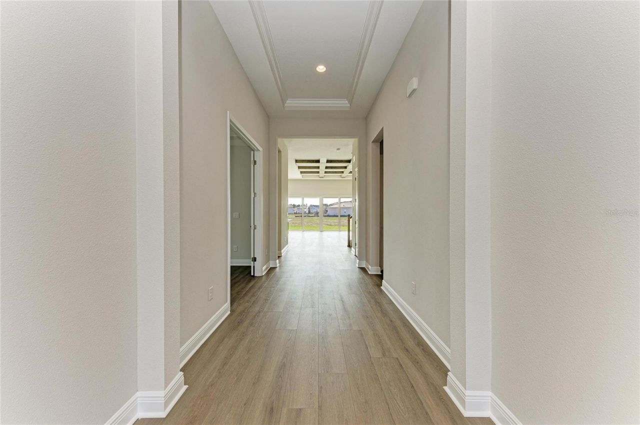 35564 Big Hawk Drive, Zephyrhills, FL 33541 Photo