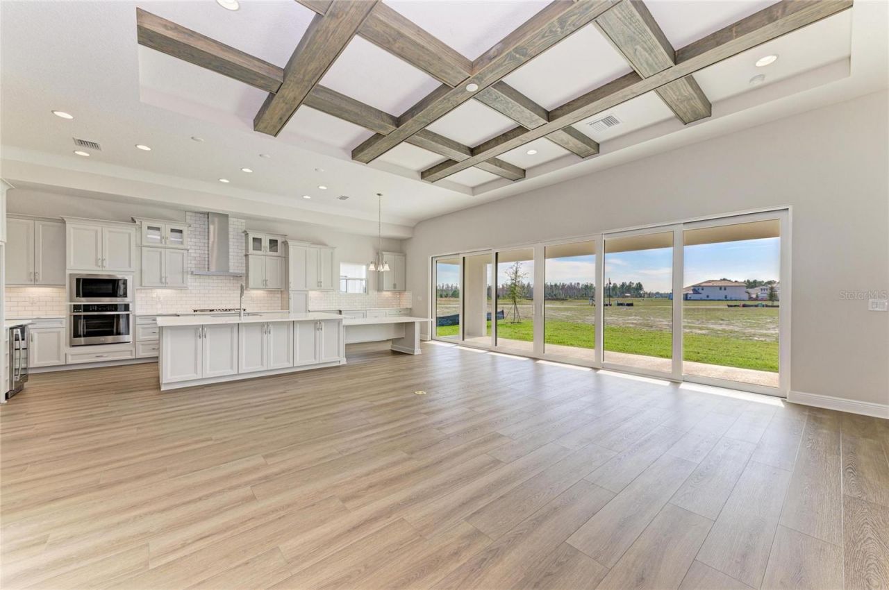 35564 Big Hawk Drive, Zephyrhills, FL 33541 Photo