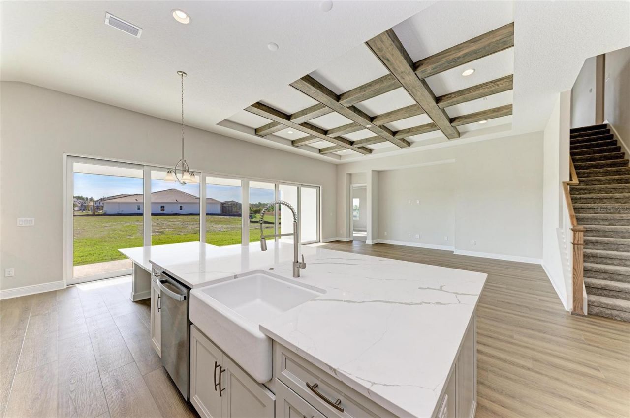 35564 Big Hawk Drive, Zephyrhills, FL 33541 Photo