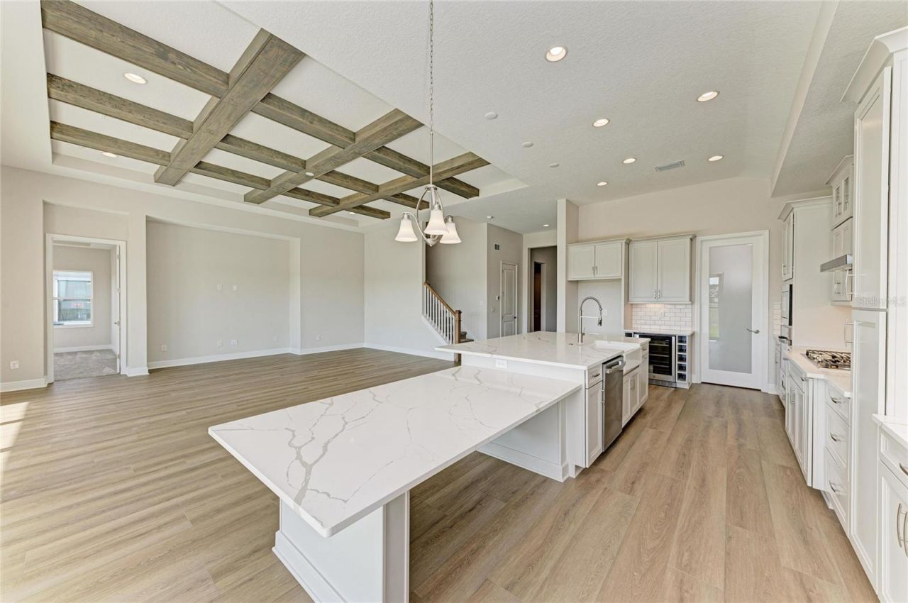 35564 Big Hawk Drive, Zephyrhills, FL 33541 Photo