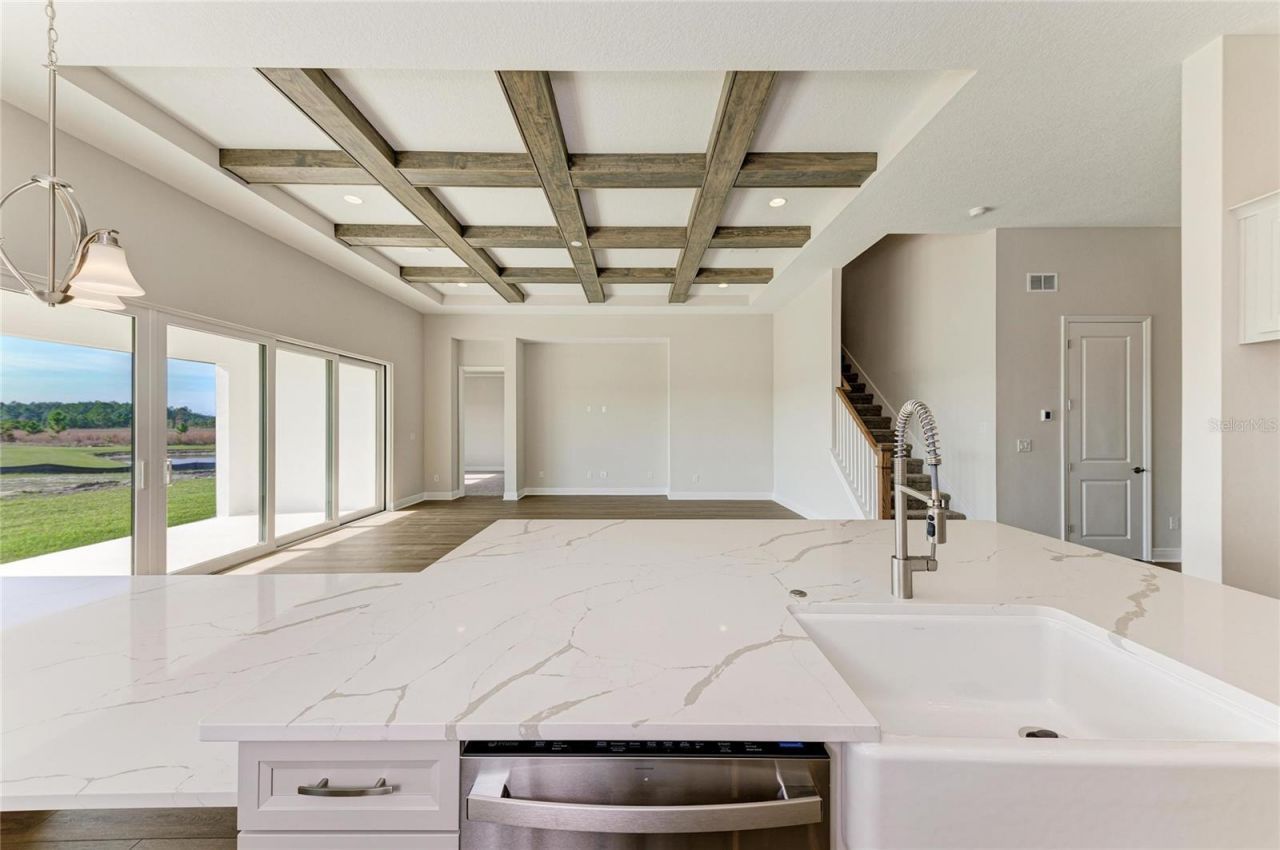 35564 Big Hawk Drive, Zephyrhills, FL 33541 Photo