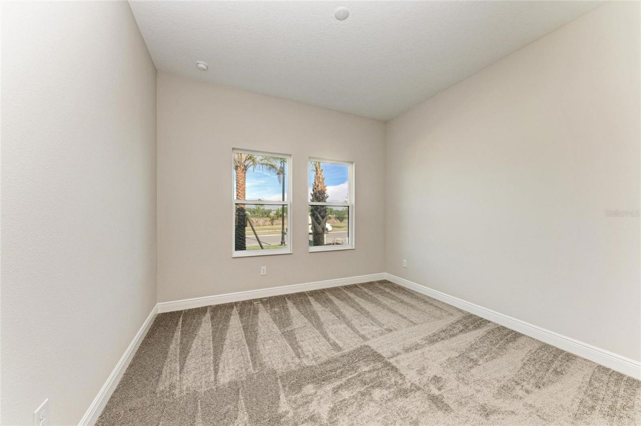 35564 Big Hawk Drive, Zephyrhills, FL 33541 Photo