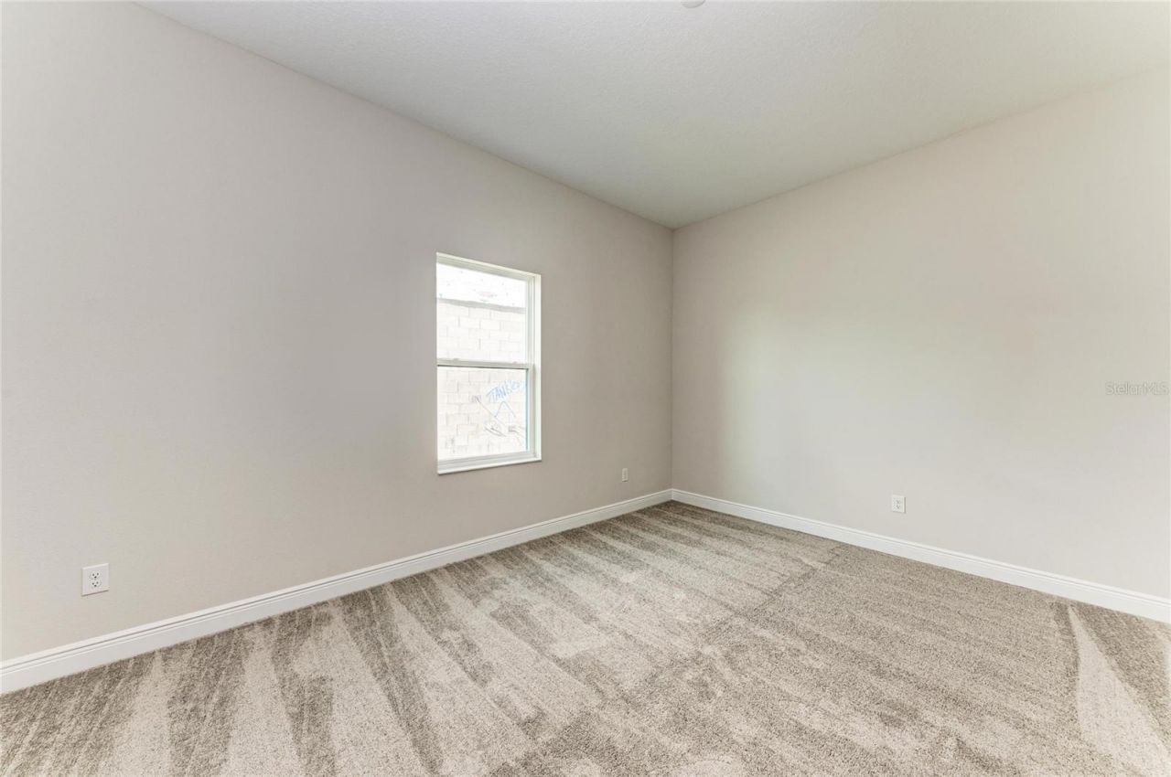 35564 Big Hawk Drive, Zephyrhills, FL 33541 Photo