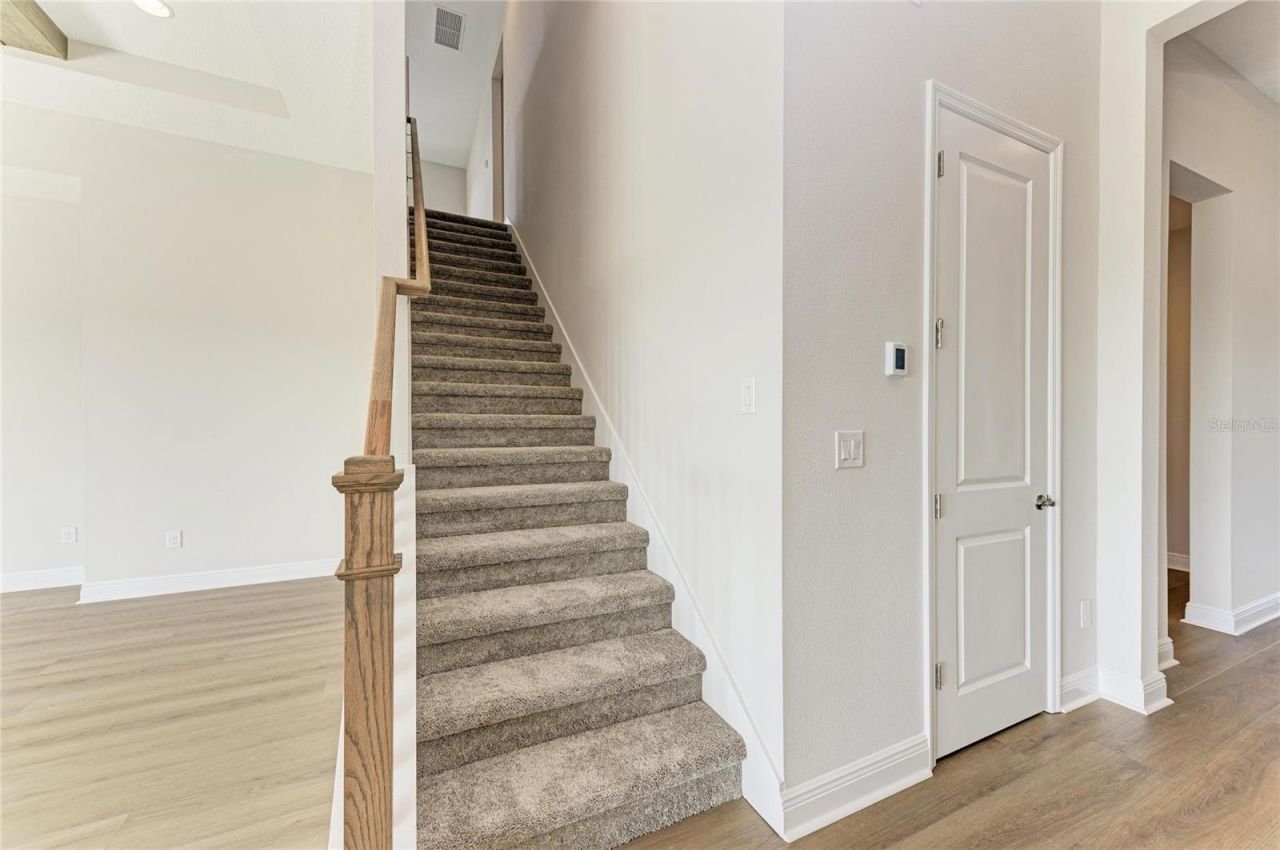 35564 Big Hawk Drive, Zephyrhills, FL 33541 Photo