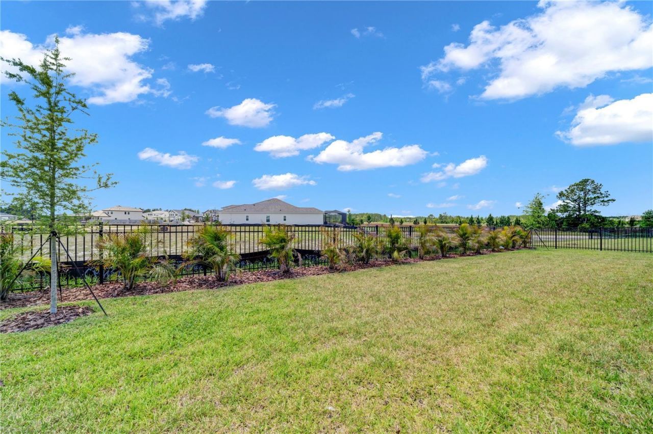 35564 Big Hawk Drive, Zephyrhills, FL 33541 Photo