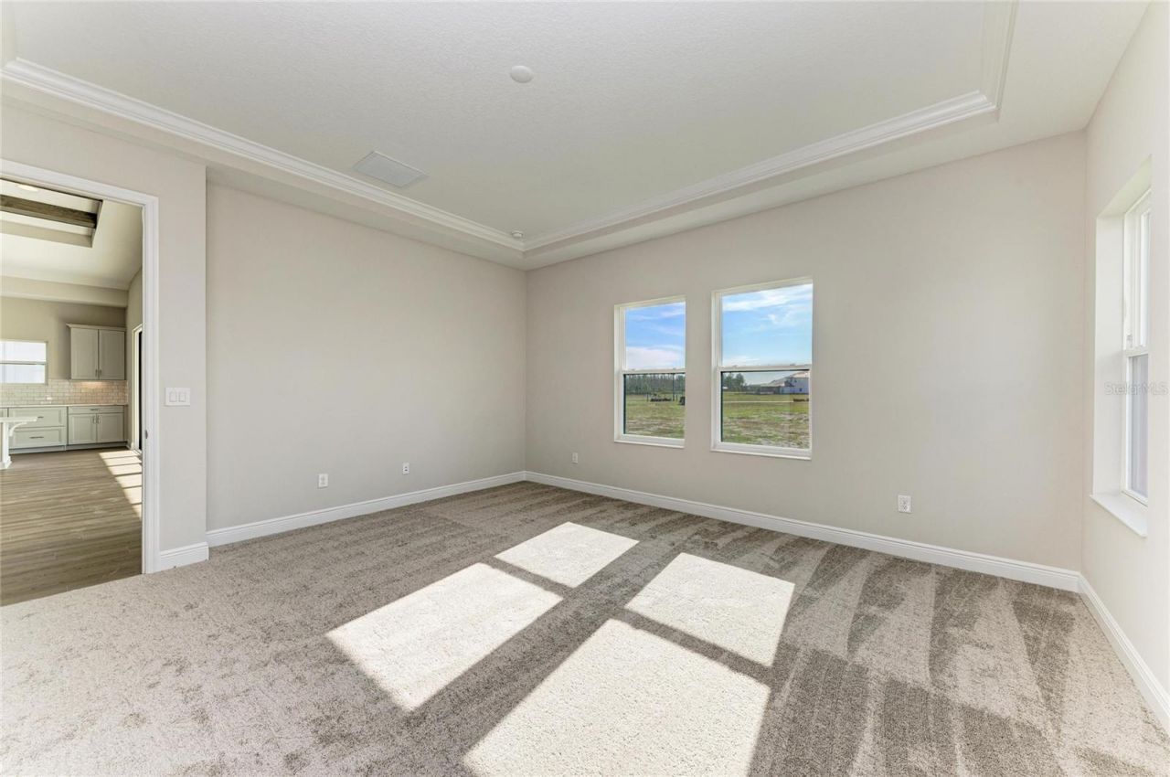 35564 Big Hawk Drive, Zephyrhills, FL 33541 Photo