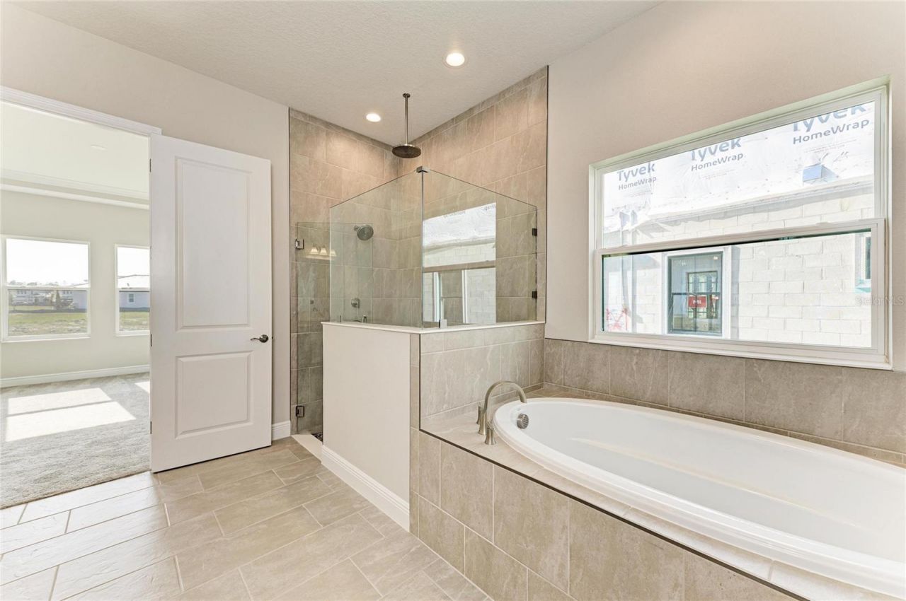 35564 Big Hawk Drive, Zephyrhills, FL 33541 Photo