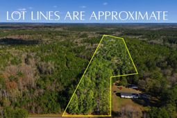 Hwy Sc 215 Tract D photo 4