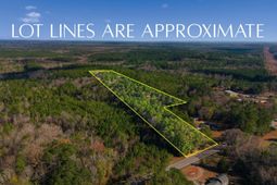 Hwy Sc 215 Tract D photo 4