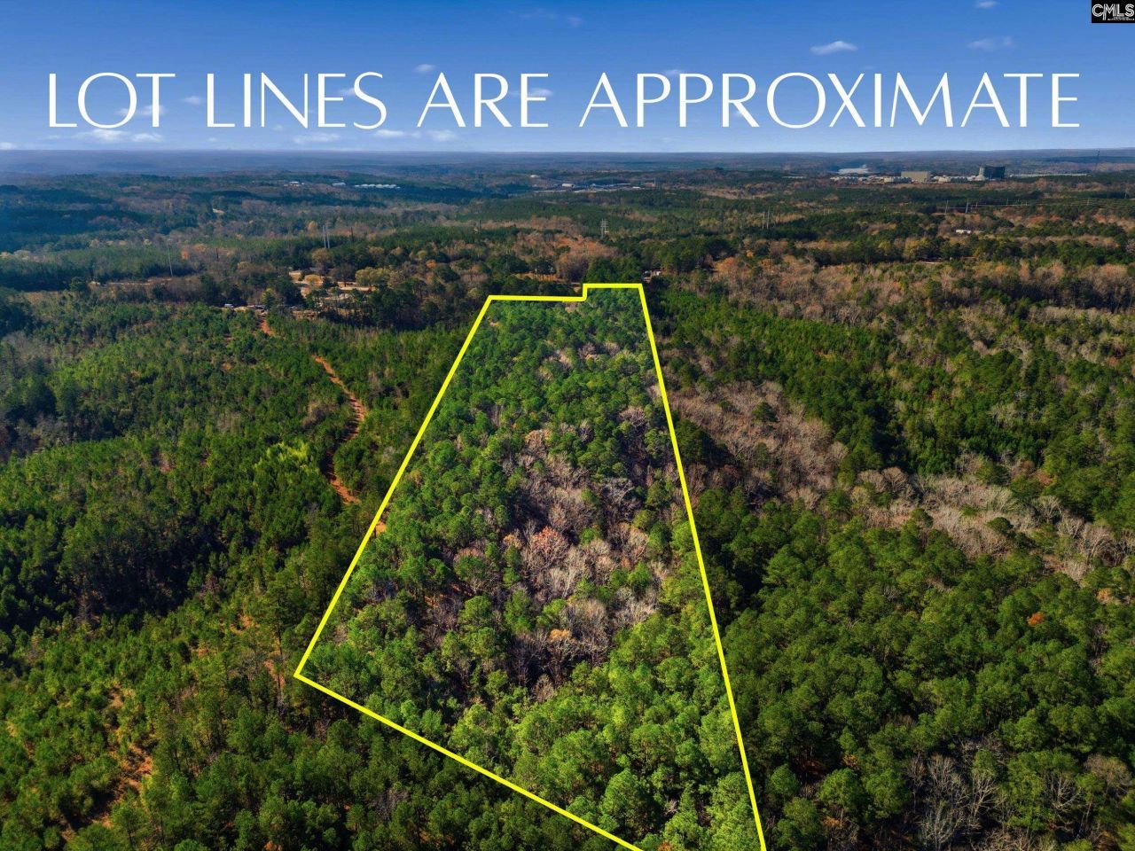 Hwy Sc 215 Tract D Photo 5