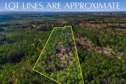 Hwy Sc 215 Tract D photo 4