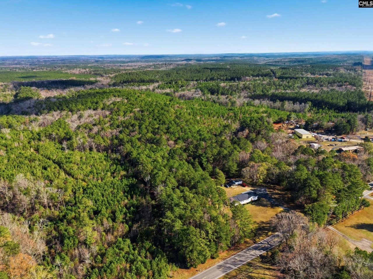 Hwy Sc 215 Tract D Photo 7