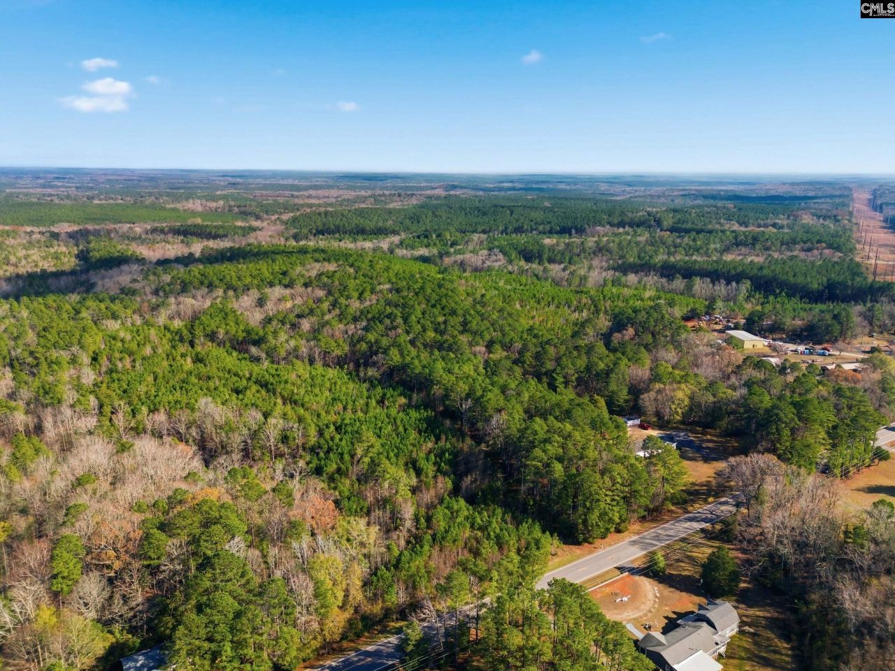 Hwy Sc 215 Tract D Photo 8