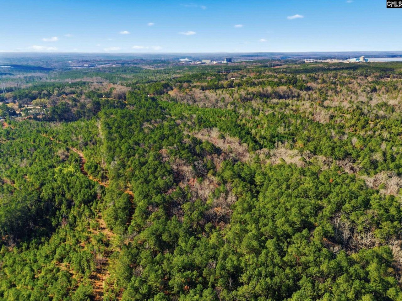 Hwy Sc 215 Tract D Photo 9