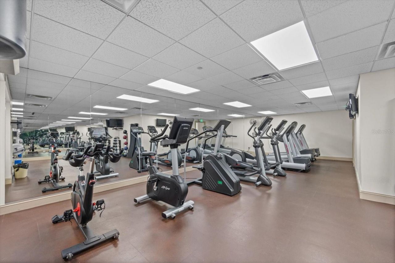 345 Bayshore Boulevard, Unit 706, Tampa, FL 33606 Photo