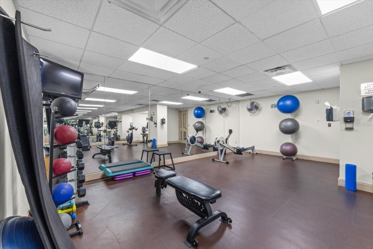 345 Bayshore Boulevard, Unit 706, Tampa, FL 33606 Photo