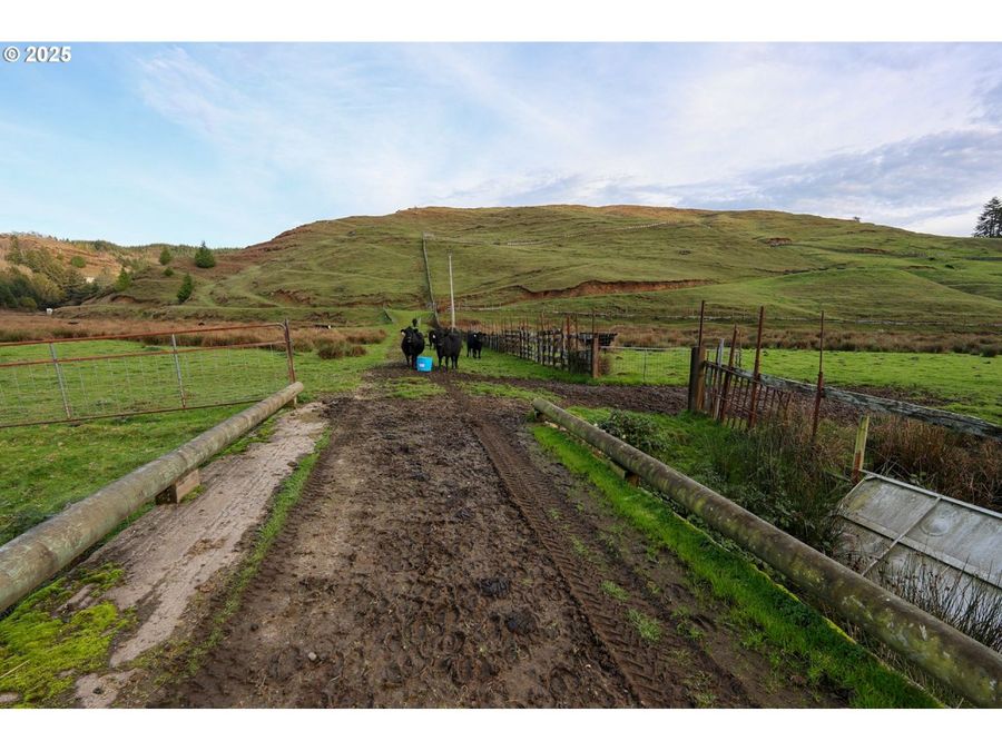 Property Image 35