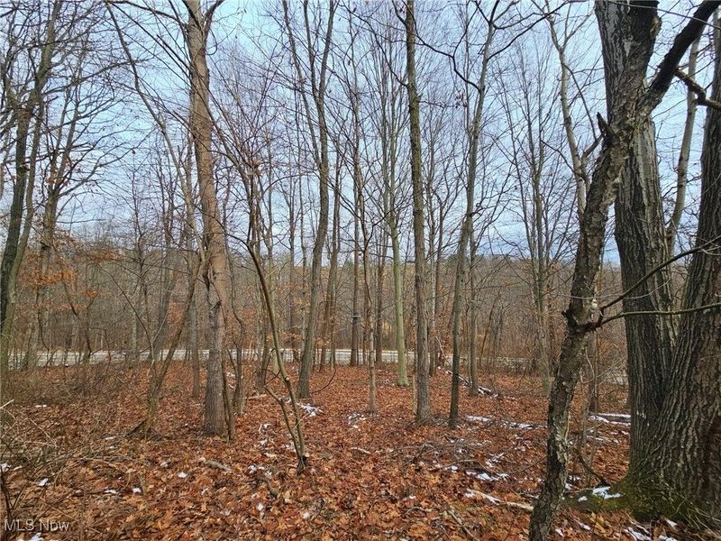 56461 State Route 541, Kimbolton, OH 43845 Photo 10