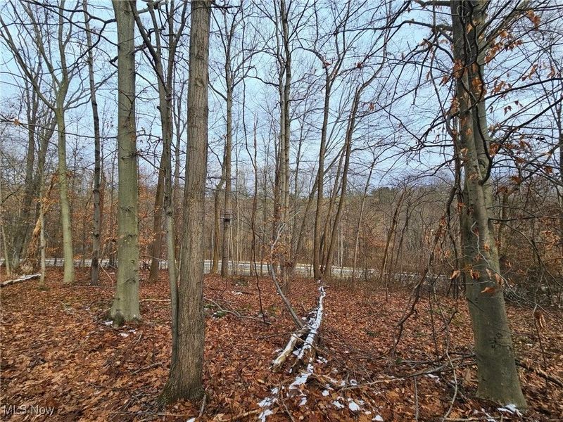 56461 State Route 541, Kimbolton, OH 43845 Photo 11