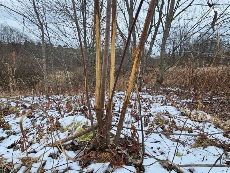 56461 State Route 541, Kimbolton, OH 43845 Photo 12