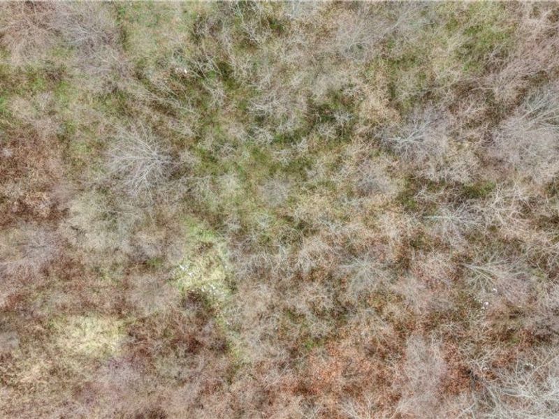 56461 State Route 541, Kimbolton, OH 43845 Photo 13