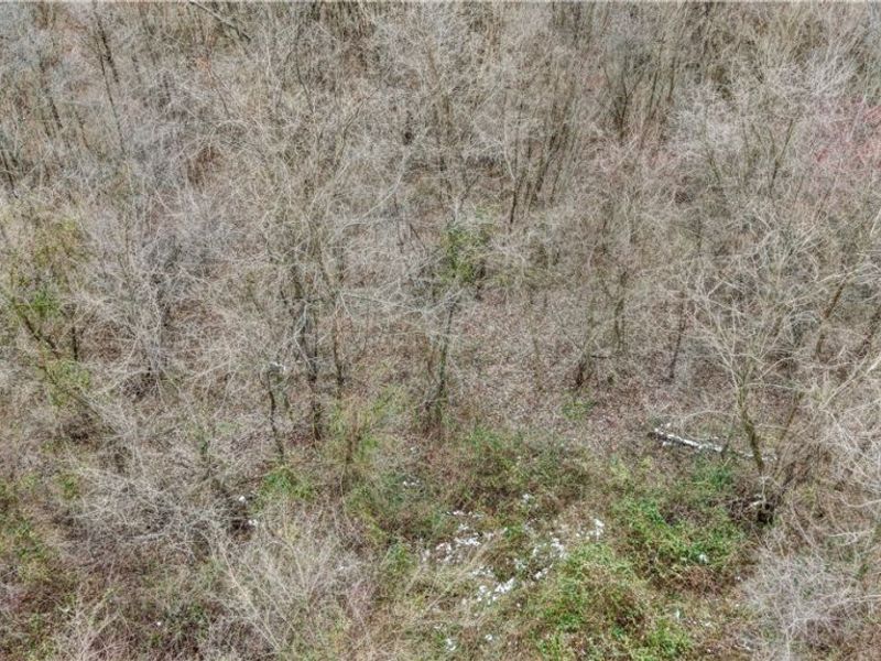 56461 State Route 541, Kimbolton, OH 43845 Photo 24